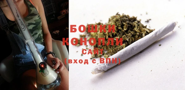 apvp Богданович