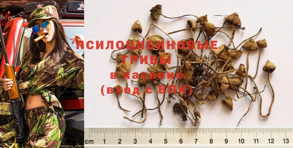 не бодяженный Богородск
