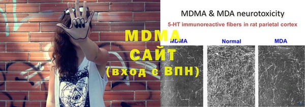 apvp Богданович