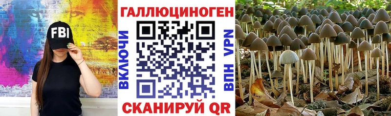 Галлюциногенные грибы Psilocybe  купить  цена  Реж 