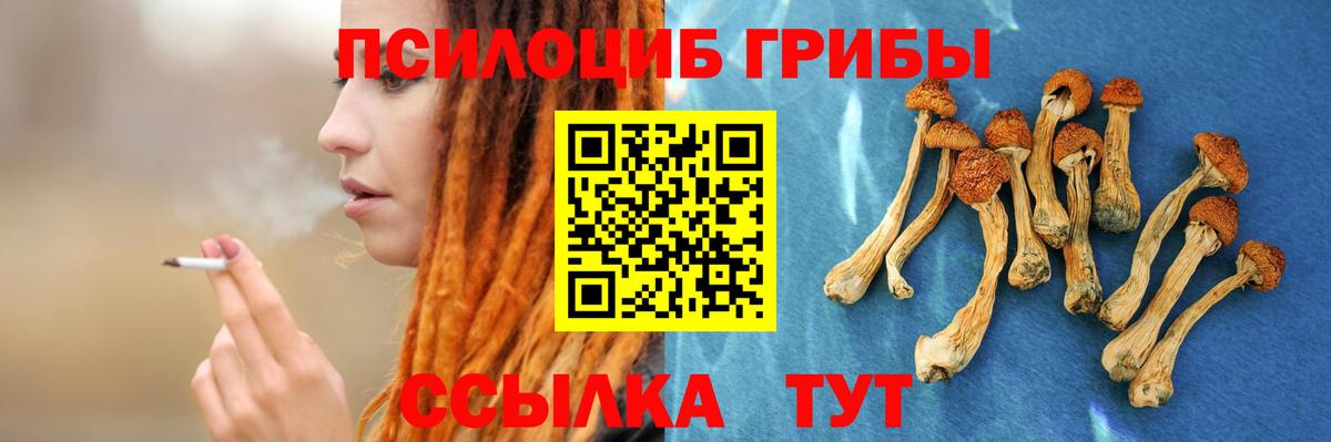 Реж  Псилоцибиновые грибы Psilocybine cubensis  даркнет сайт  Вход с VPN 